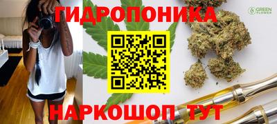 эйфоретик Малгобек