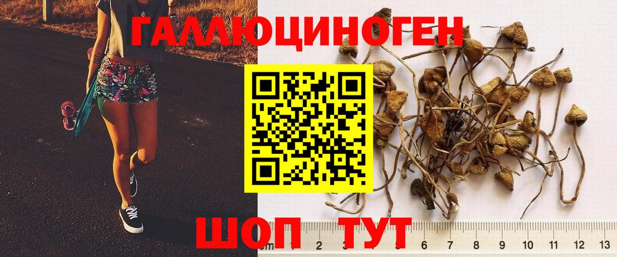 Галлюциногенные грибы мицелий Феодосия